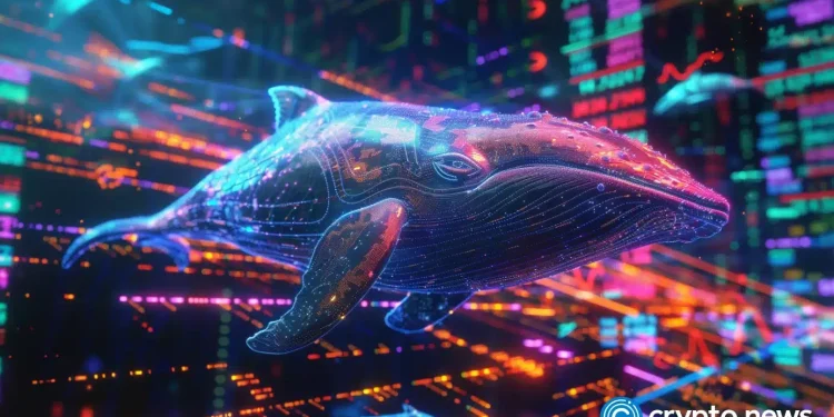 Bitcoin price movements as whale soaks up BTC at $90k — can price finally break higher?缩略图 Bitcoin price movements as whale soaks up BTC at $90k — can price finally break higher?