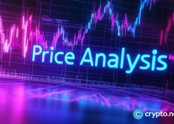 Shiba Inu price stabilizes at monthly support as oversold conditions ease
