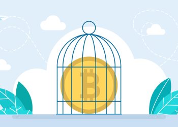 bitcoin ireland seized