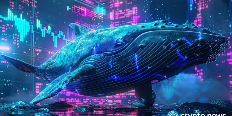 Crypto market consolidates: A look at the altcoins whales are watching this month缩略图 Crypto market consolidates: A look at the altcoins whales are watching this month