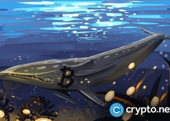 Bitcoin whales add 61,568 BTC as price slips again - 1