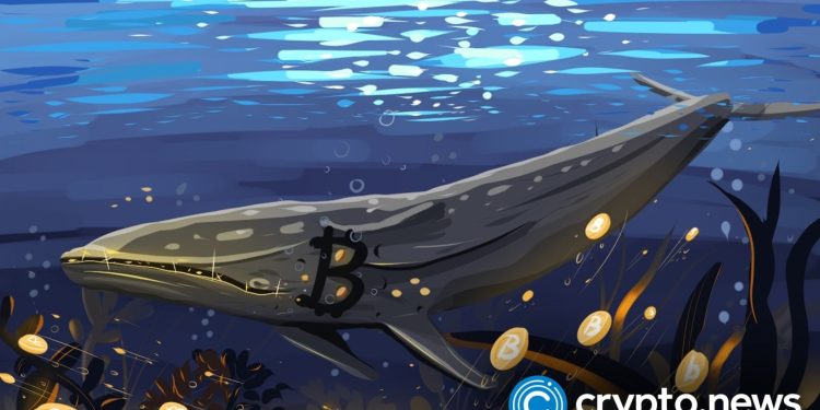 Bitcoin whales add 61,568 BTC as price slips again - 1