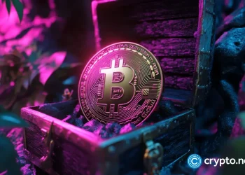 Judge pauses lawsuit involving 3.8 million Bitcoin held in dormant wallets