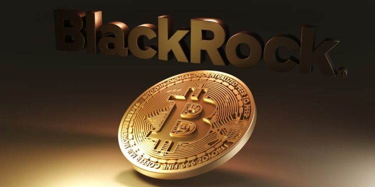 BlackRock Doubles Down on Digital Assets Despite 40% Drop in Crypto AUM