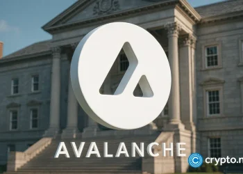 AVAX One starts CEO search as Avalanche treasury plan faces pressure