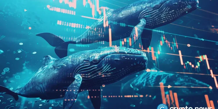 Whales bought $16.7B of Bitcoin while Wall Street ran for the exit缩略图 Whales bought $16.7B of Bitcoin while Wall Street ran for the exit - 2