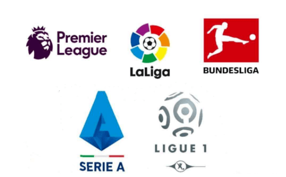 约基奇书写 约基奇书写